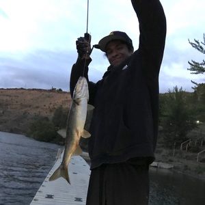 Meet your Posher, Terrell